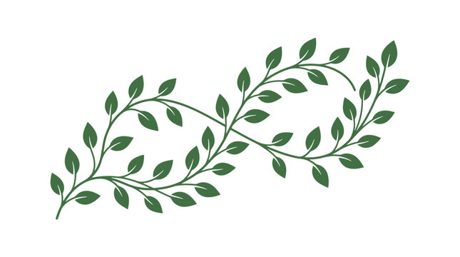 Simple Green Leafy Branch Curve, a Natural Botanical Design Element on an Isolated White Background