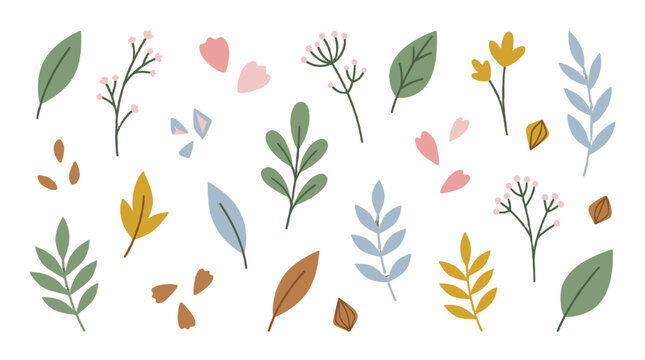 hand drawn watercolor autumn leaves and botanical elements set isolated