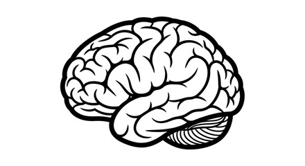 Fototapeta premium Black and White Illustration of Human Brain, Symbol of Intelligence and Thought