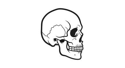 Obraz premium Black and White Skull Illustration, Side View, Human Anatomy, Dark Art