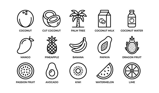 Tropical fruit icons showing coconut mango pineapple and others