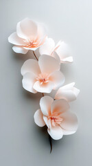 Naklejka premium Delicate translucent rice paper blossom garland with soft pink petals creating a wedding or celebratory decoration. Arranged vertically against a subtle grey background
