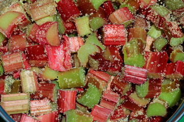 close up of red and green cultivated rhubarb © TwilightArtPictures