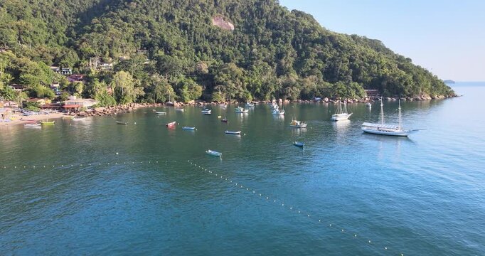 Aerial landscape of Picinguaba bay surrounded by tropical rainforest, Ubatuba coast. Paisagem a&eacute;rea da ba&iacute;a de Picinguaba cercada por floresta tropical, costa de Ubatuba