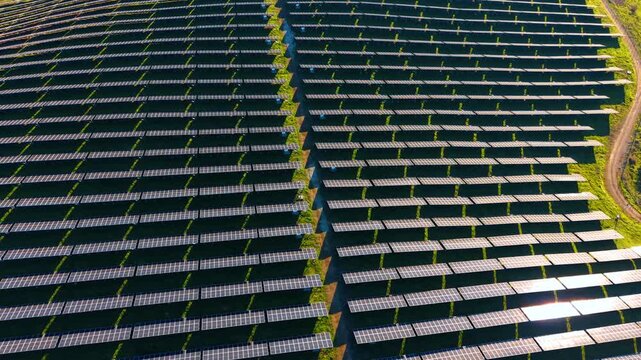 Symmetrical rows of solar panels with sunset flare. Aerial view of large scale photovoltaic installation with bright sun flare and geometric patterns.