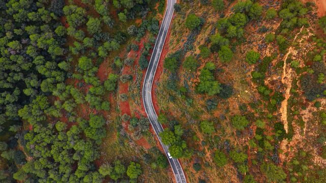 Top view of white car driving on winding road. Nadir aerial perspective of a single vehicle on curved asphalt road through forest and red soil.