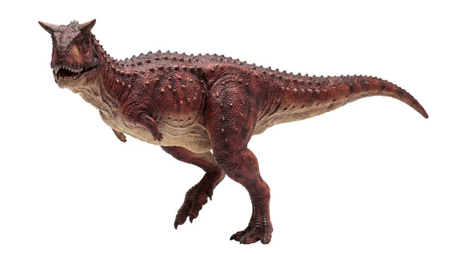 Carnotaurus dinosaur striding three-quarter view
