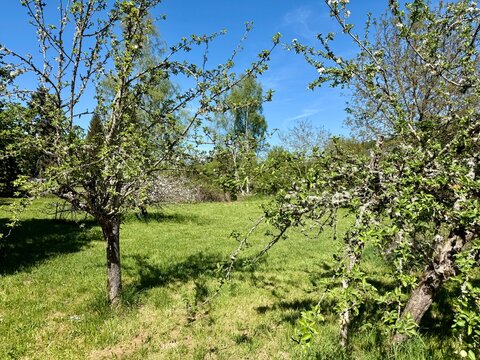 Jardin