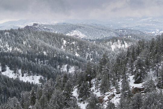 Winter Storm in the District