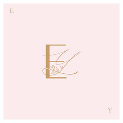 Obraz premium EY, Logo EY, monogram EY, letter EY, alphabet EY