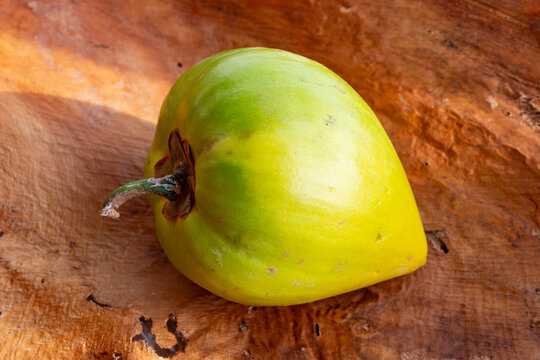 Canistel or caniesten eggs fruit tropical sweet fruit with creamy texture on palm tree bark