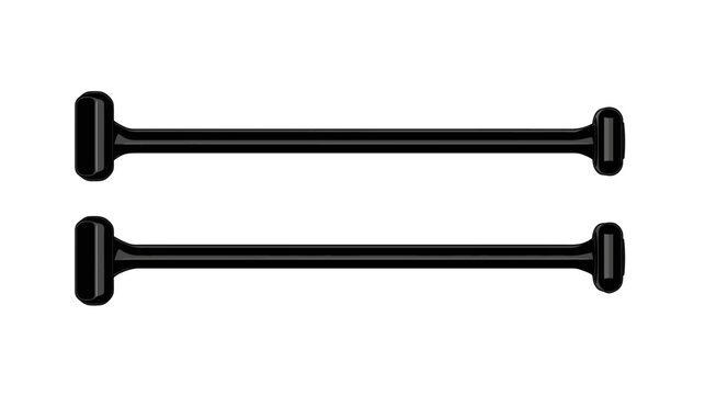 Two identical black, glossy elongated objects with rounded ends, parallel on a white background