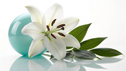 Fototapeta premium Beautiful white lily flower with elegant green leaves placed next to a smooth teal decorative glass orb on white background