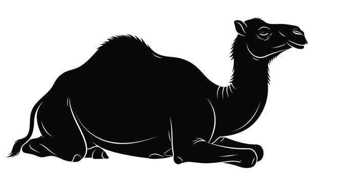 A black silhouette of a dromedary camel lying down on a white background.
