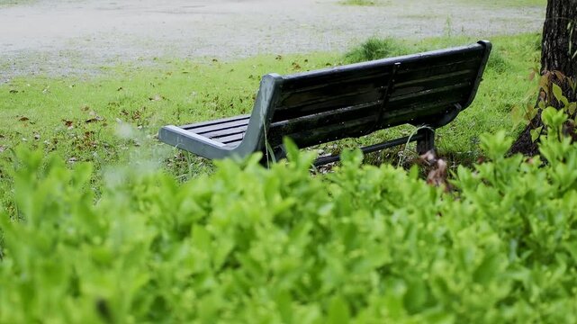 雨が降る公園のベンチと濡れた緑　静けさと癒しの風景イメージ