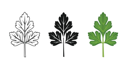 Fototapeta premium Set of three leaf illustrations in black, white, and green with detailed vein patterns and natural textures