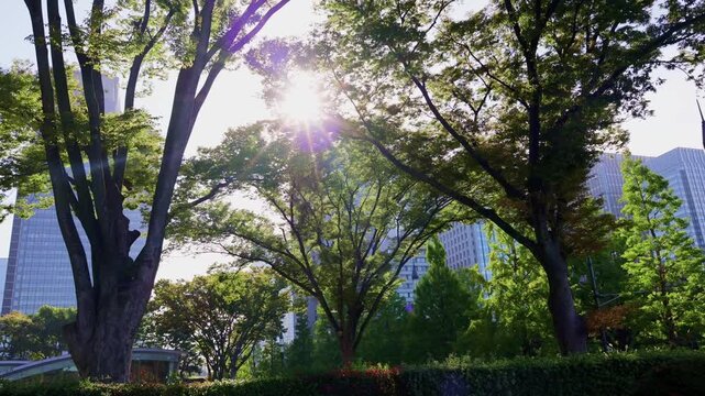 City Harmony. Contemporary glass buildings contrasting with traditional green space under clear blue sky in central Tokyo district. 4k