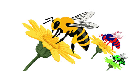 Close-up of a bee collecting nectar from a yellow flower, with other bees in background © Vinci