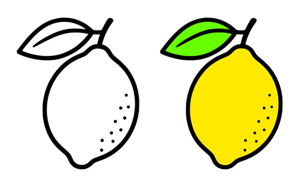 Lemon icon illustration, in line art and colored design, for coloring page