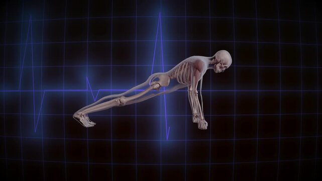 Transparent human body doing push ups