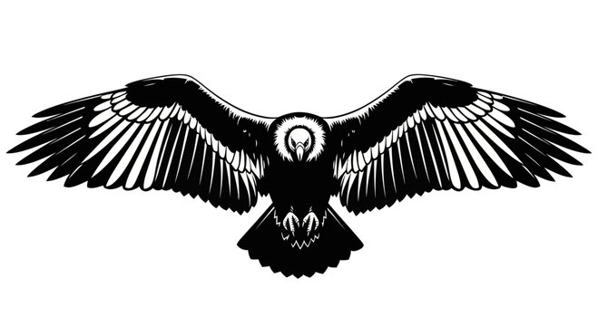Andean Condor Flying Silhouette, Majestic Bird of Prey with Wide Wingspan