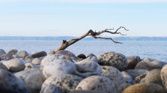 The rocky coast of Lake Baikal, dotted with unusual round, multi-colored boulders with beautiful carved patterns.

