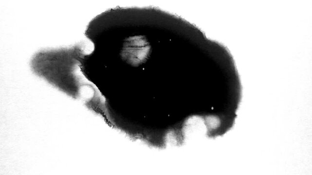 Black Ink Bloom Spreading in Water Abstract Motion Video