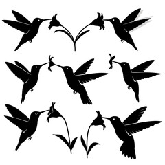 Fototapeta premium Hummingbird Silhouettes Feeding on Flowers