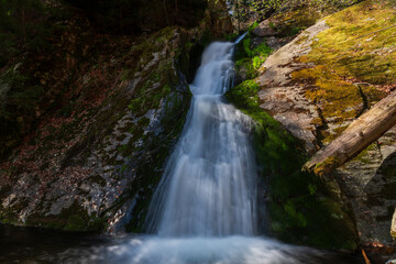 Obraz premium Long exposure of a beautiful waterfall cascading over mossy rocks in the deep forest canyon of Rešov Waterfalls, Jeseníky Mountains, Czech Republic.