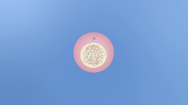 Dynamic 3D animation illustrates cell division process of mitosis stages footage, cellular replication biology concept clip.