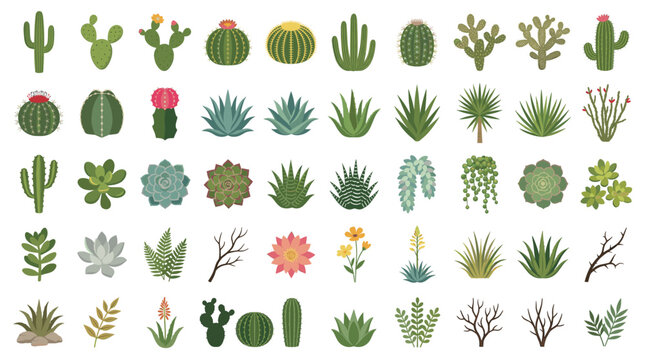Colorful hand drawn cactus vector set with desert plants, succulents, agave, flowers, dry branches and stones isolated on white