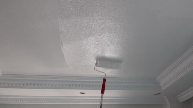 painting work inside a residential building.white paint, High quality 4k footage