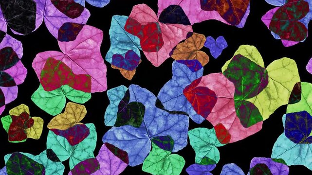 Seamless looped animated video showing and overlay effect of vibrant multicolored collage pattern vine leaf motifs over black background