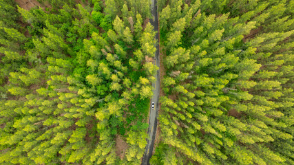 Naklejka premium Aerial view of dark green forest road and white electric car Natural landscape and elevated roads Adventure travel and transportation and environmental protection concept 