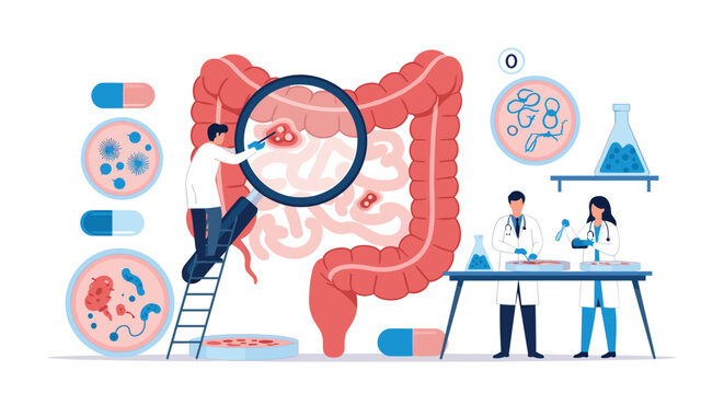 Medical team of doctors examining the human digestive system and intestines using a magnifying glass and laboratory equipment.