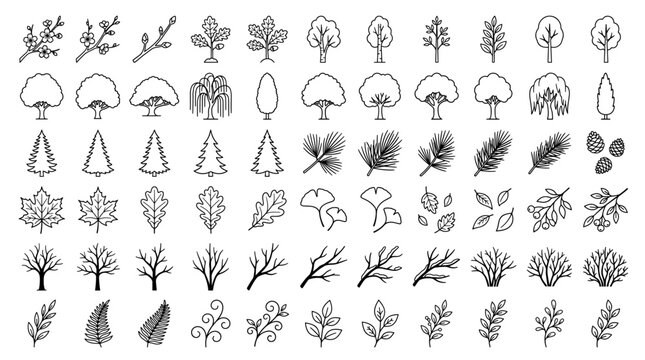 Black and white hand drawn tree and leaf icon set with forest plants, branches, herbs, pine trees and botanical nature elements