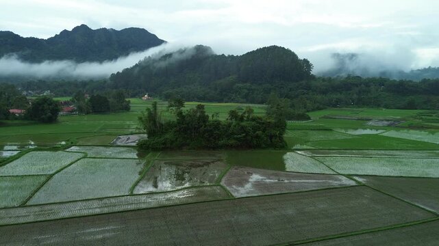 An aerial perspective of vibrant agricultural landscapes meeting ethereal mountain ranges