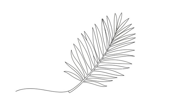 Minimalist Line Drawing of a Curved Palm Leaf with Detailed Leaflets and Thin Stem