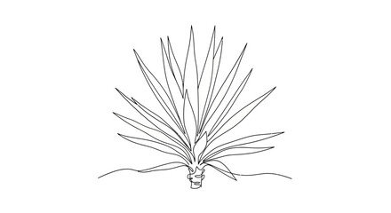 Fototapeta premium Minimalist Line Drawing of a Spiky Plant with Roots and Leaves in Black and White