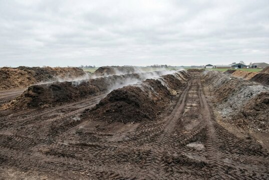 Steaming compost windrows in an industrial organic waste recycling facility