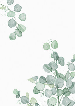 Watercolor vintage composition card with eucalyptus branches on paper texture. Hand drawn illustration sketch