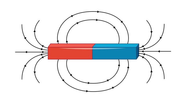 Visual demonstration of magnetic field lines for bar and horseshoe magnets north and south poles.