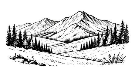 mountain, landscape, trees, coniferous, pine, forest, black, white, handdrawn, sketch, nature, outdoor, hills, scenery, vector, illustration, vintage © mrpixel