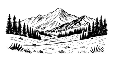 mountain, landscape, trees, coniferous, pine, forest, black, white, handdrawn, sketch, nature, outdoor, hills, scenery, vector, illustration, vintage © mrpixel