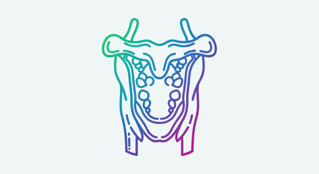 Larynx Anatomy Illustration - Vocal Cords and Cartilage Structure