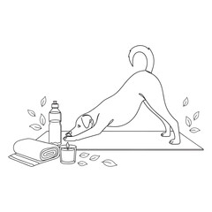 Obraz premium Dog in Downward-Facing Dog yoga pose on mat with candle and water bottle, minimalist vector illustration