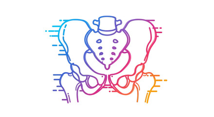 Fototapeta premium Human Pelvis Anatomy Illustration, Colorful Gradient Outline, Medical Concept