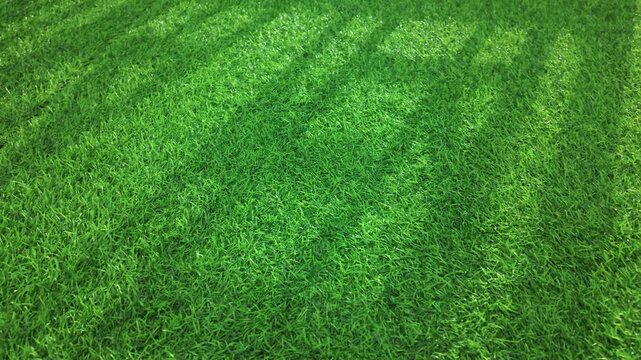 Close-up of artificial green grass with a uniform, dense texture under bright sunlight. Soft diagonal shadows fall across the synthetic turf, highlighting its consistent fibers and vibrant color