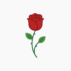 Obraz premium Scarlet Rose in Bloom: A vibrant scarlet rose, a symbol of beauty, love, and passion, stands gracefully against a plain backdrop, its petals in full bloom, revealing its exquisite details.