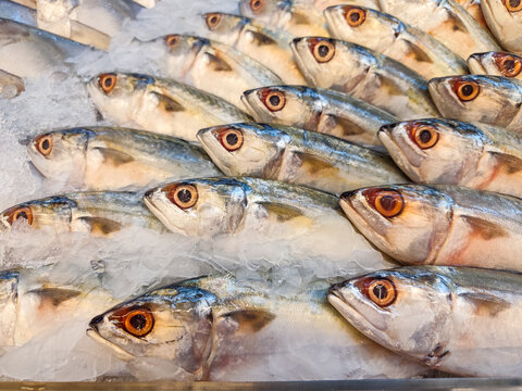 Fresh mackerel and pomfret fish displayed at a traditional seafood market, showcasing a variety of fresh marine seafood commonly consumed in Asian cuisine.